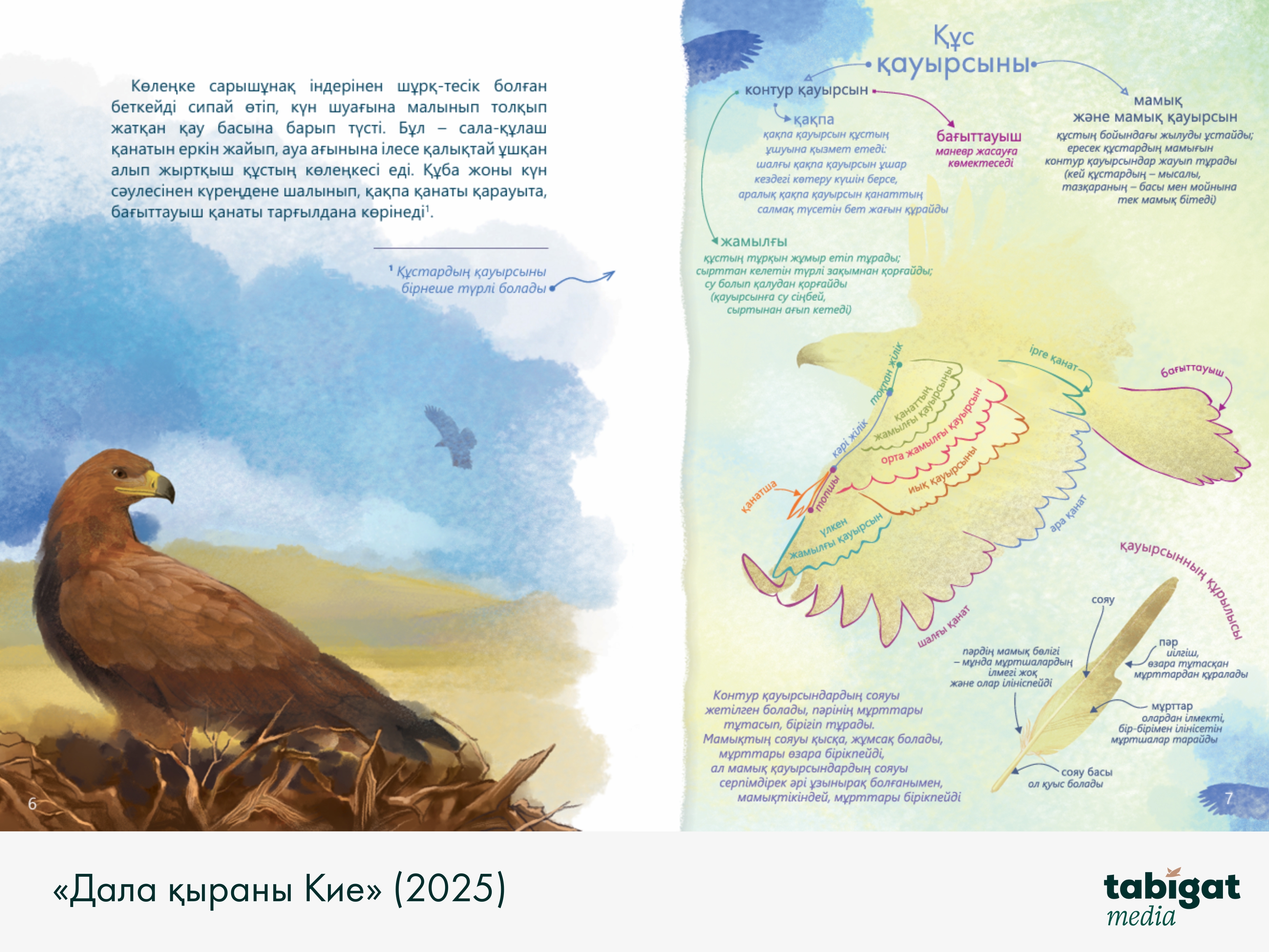 Әйелдер тұрып зәр шығарады